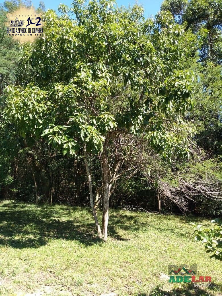 Sítio, 4 quartos, 8 hectares - Foto 37