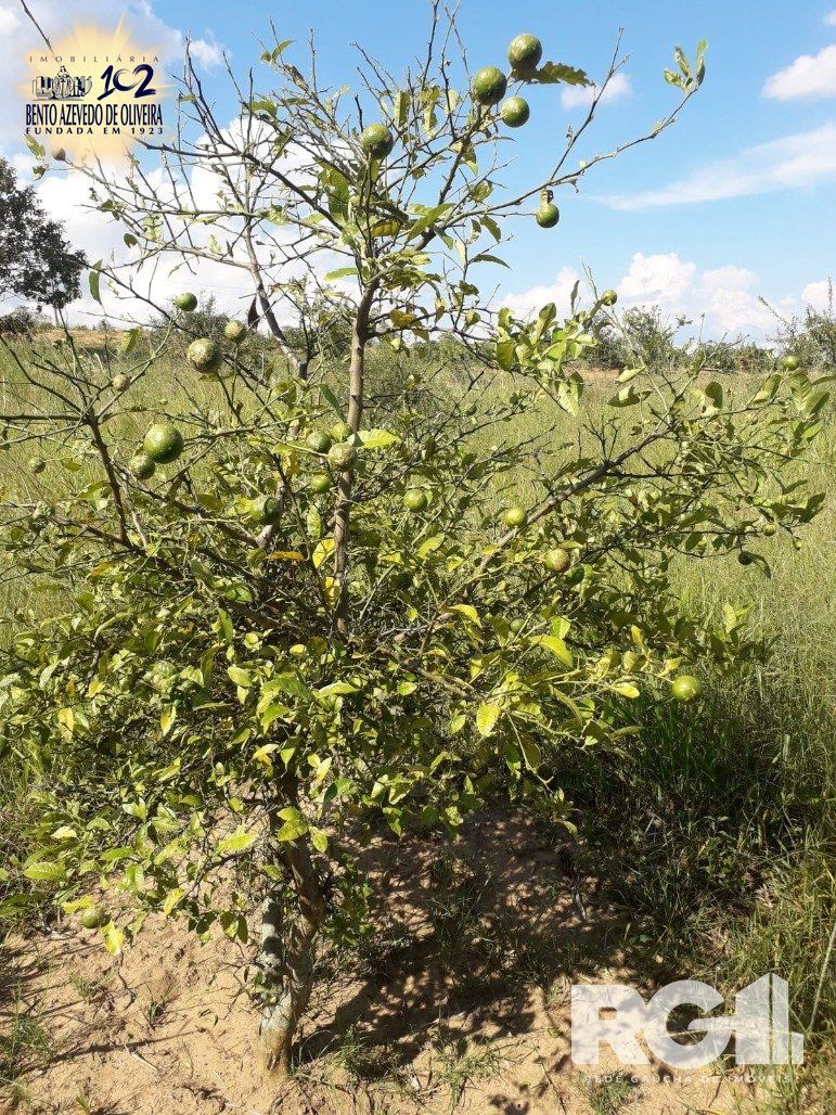 Chácara, 1 quarto, 8505 m² - Foto 15