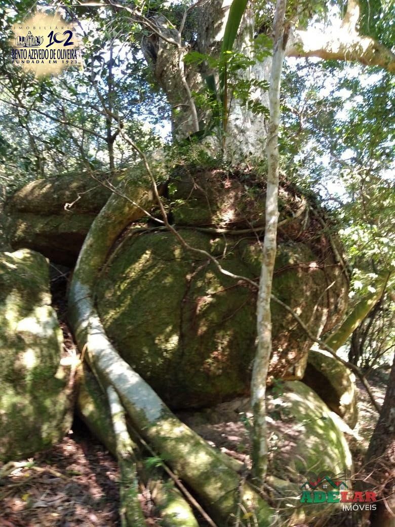 Sítio, 4 quartos, 8 hectares - Foto 39