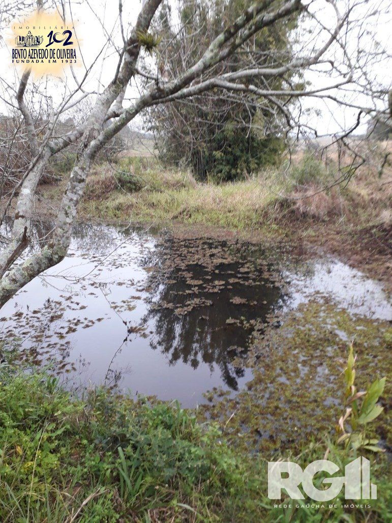 Chácara, 1 quarto, 8505 m² - Foto 19