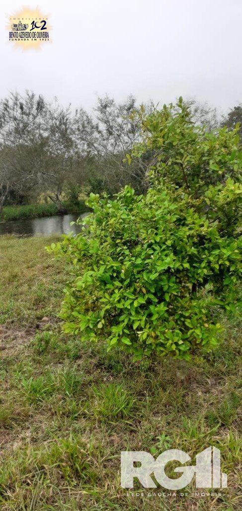 Chácara, 1 quarto, 8505 m² - Foto 28