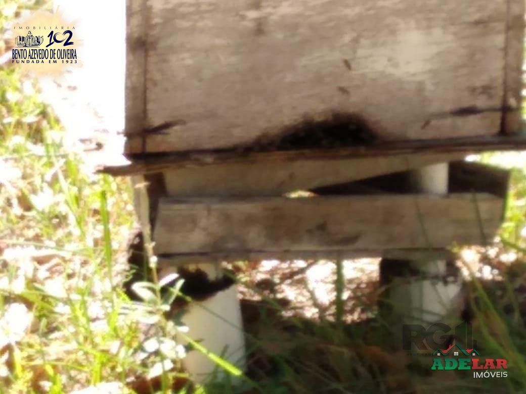 Sítio, 4 quartos, 8 hectares - Foto 45