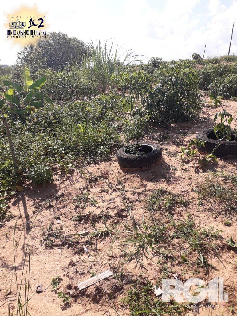 Chácara, 1 quarto, 8505 m² - Foto 13