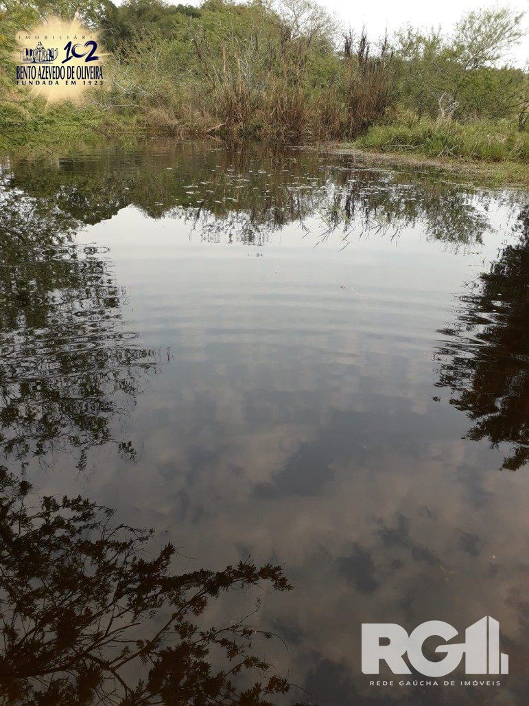 Chácara, 1 quarto, 8505 m² - Foto 4