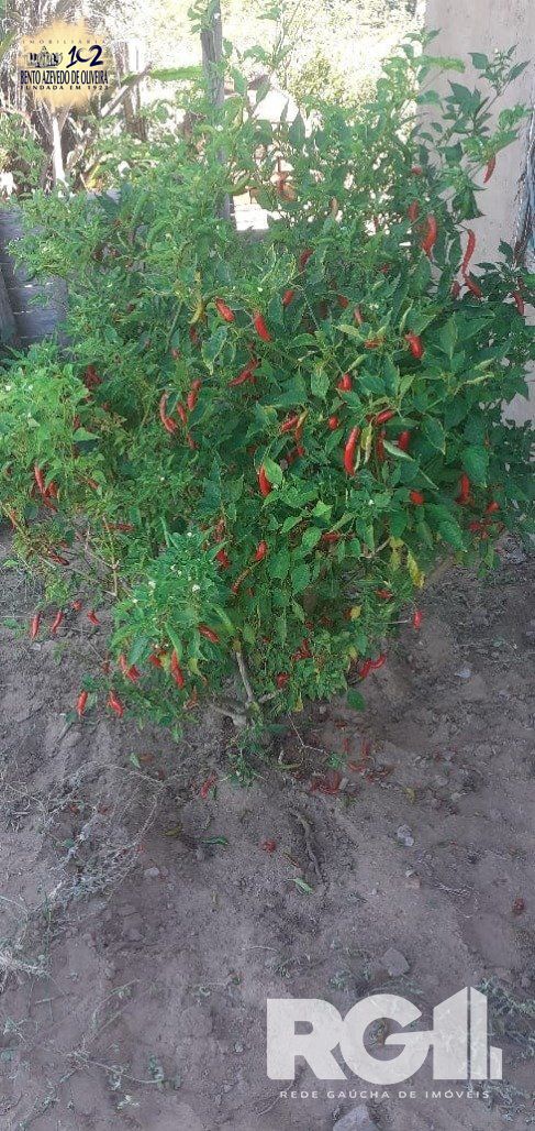 Chácara, 1 quarto, 8505 m² - Foto 32