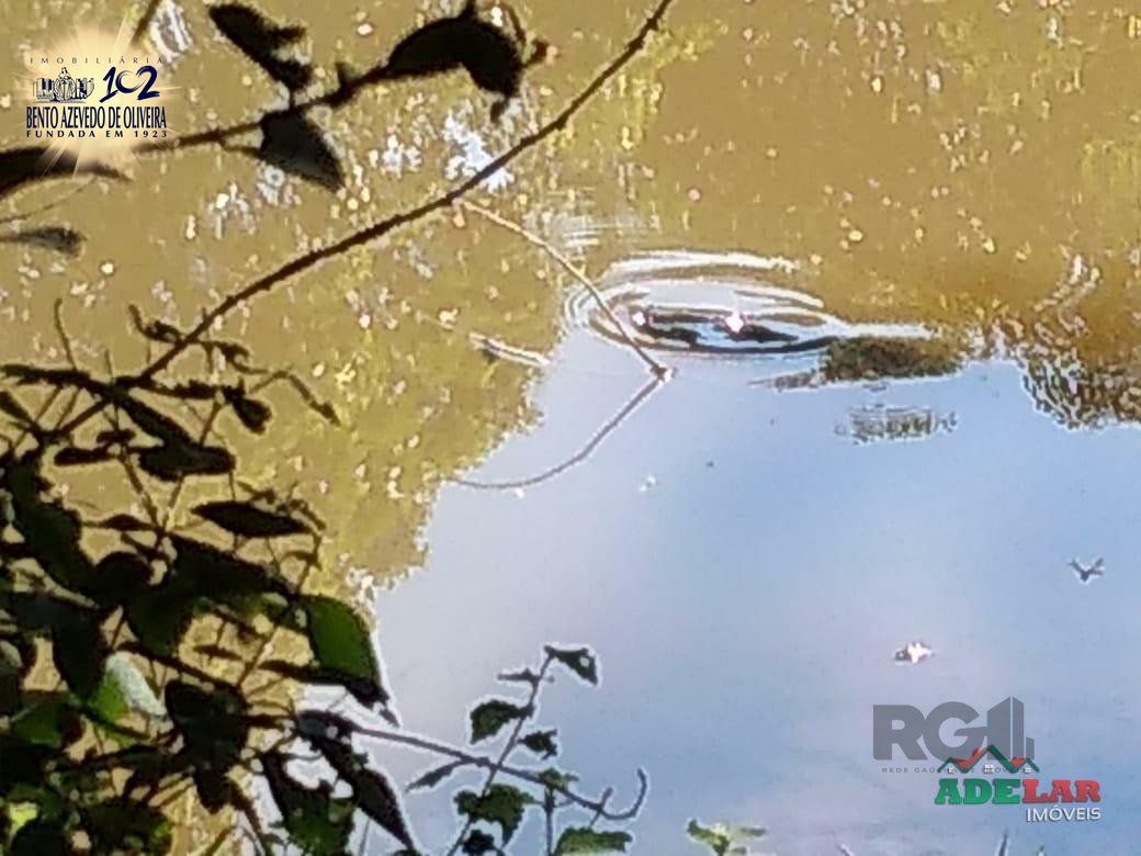 Sítio, 4 quartos, 8 hectares - Foto 32