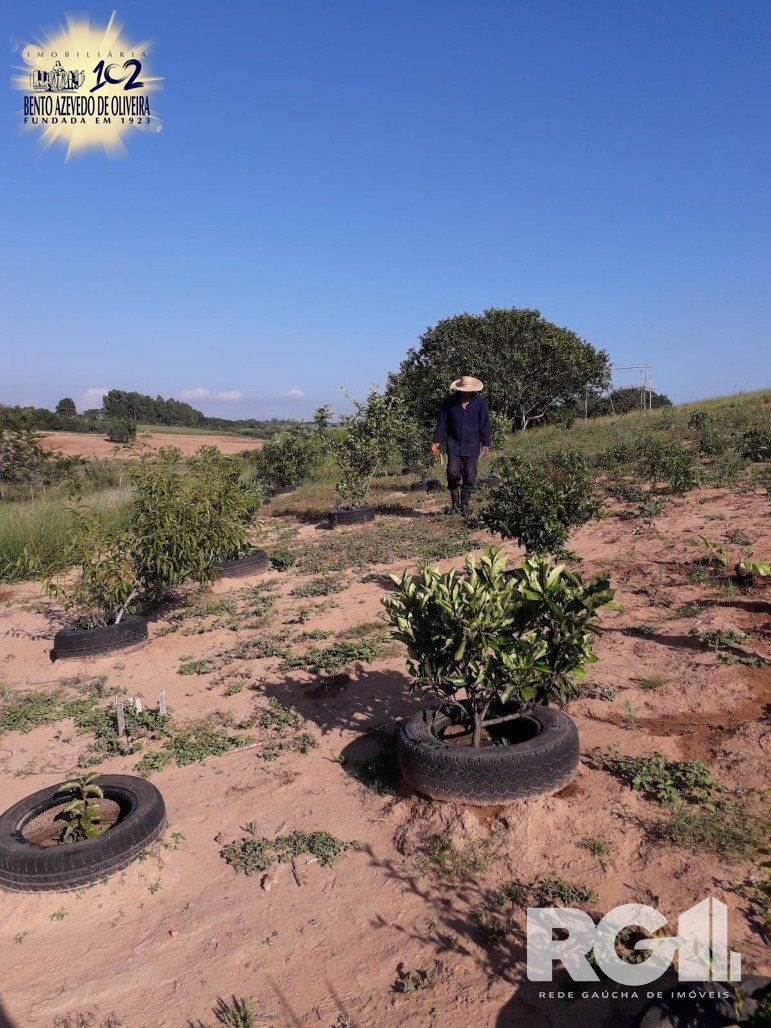 Chácara, 1 quarto, 8505 m² - Foto 10