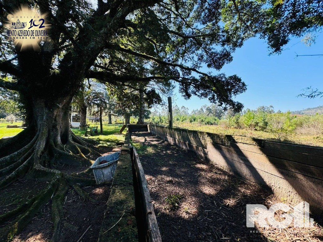 Sítio, 2 quartos, 4 hectares - Foto 9