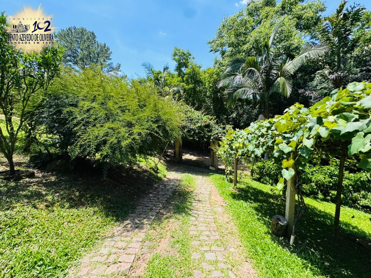 Chácara, 3 quartos, 3200 m² - Foto 25