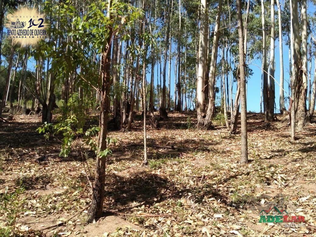 Sítio, 4 quartos, 8 hectares - Foto 25