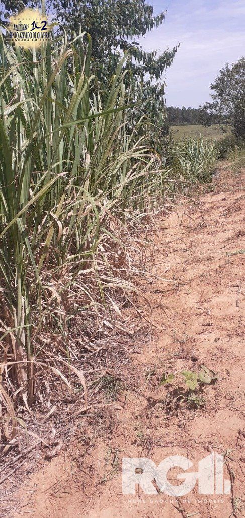 Chácara, 1 quarto, 8505 m² - Foto 26