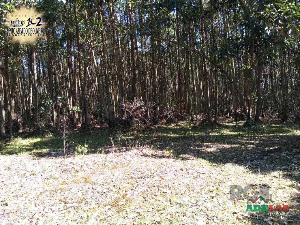 Sítio, 4 quartos, 8 hectares - Foto 26