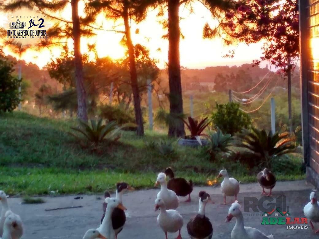 Sítio, 4 quartos, 8 hectares - Foto 23