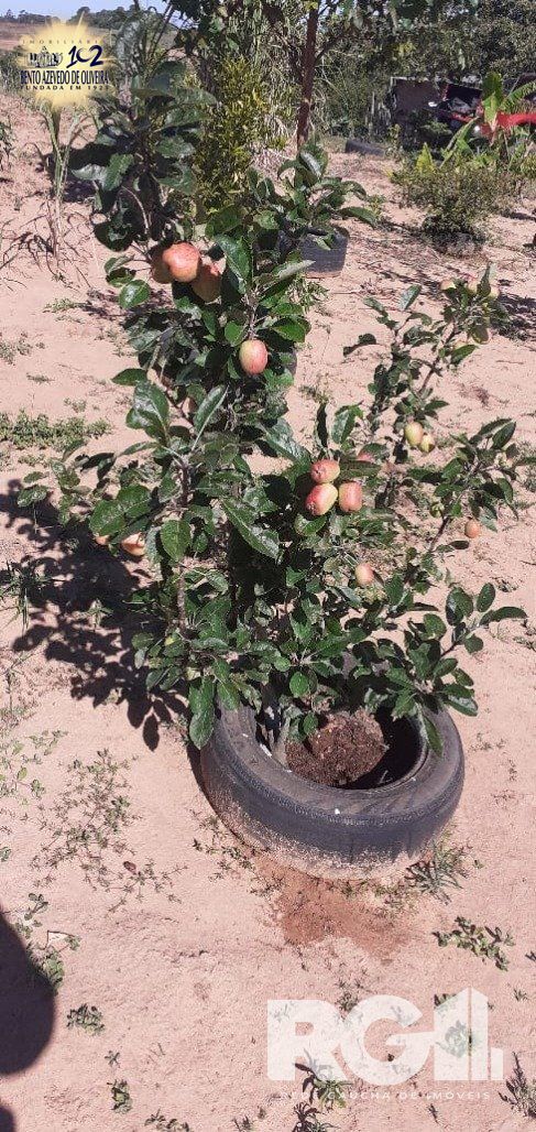 Chácara, 1 quarto, 8505 m² - Foto 34