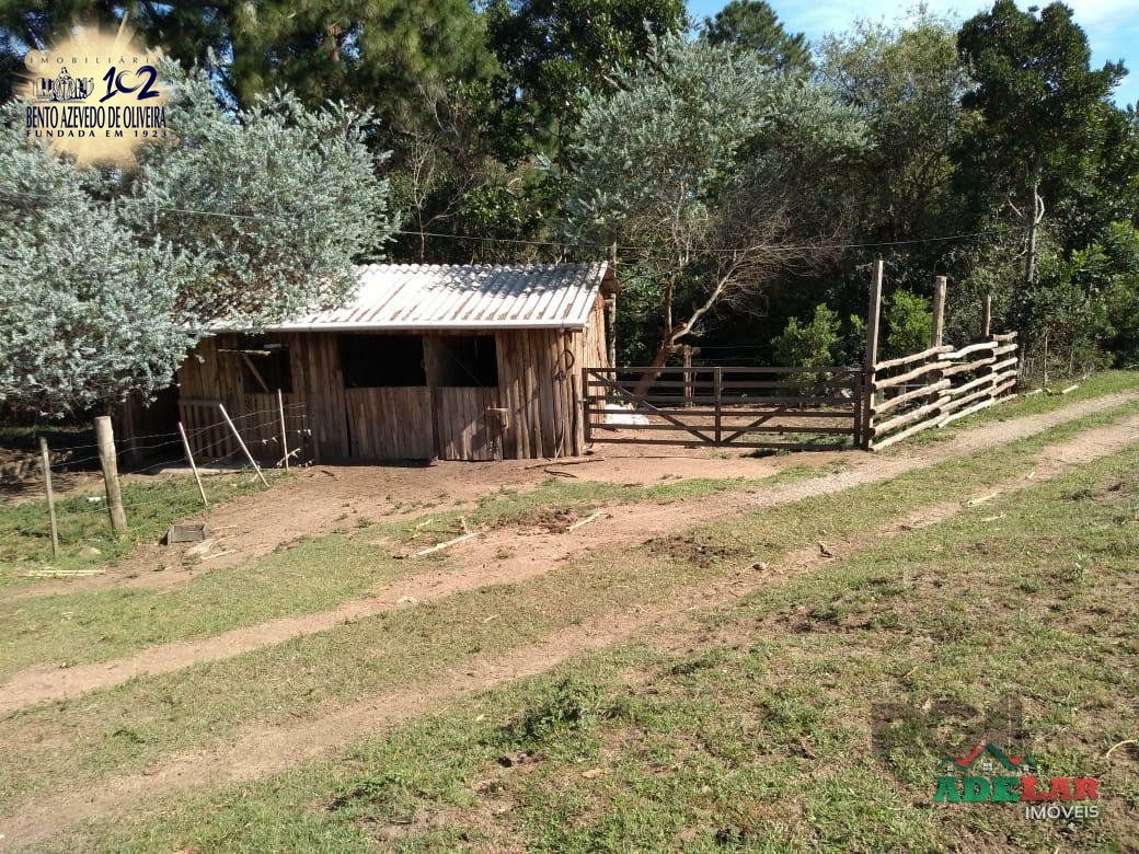 Sítio, 4 quartos, 8 hectares - Foto 7