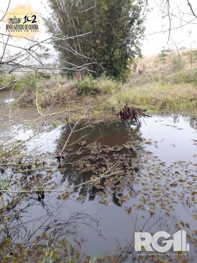 Chácara, 1 quarto, 8505 m² - Foto 21