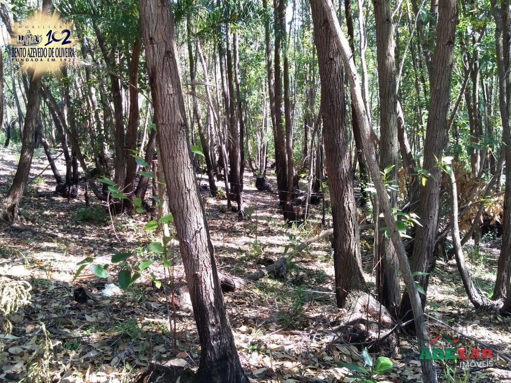 Sítio, 4 quartos, 8 hectares - Foto 33