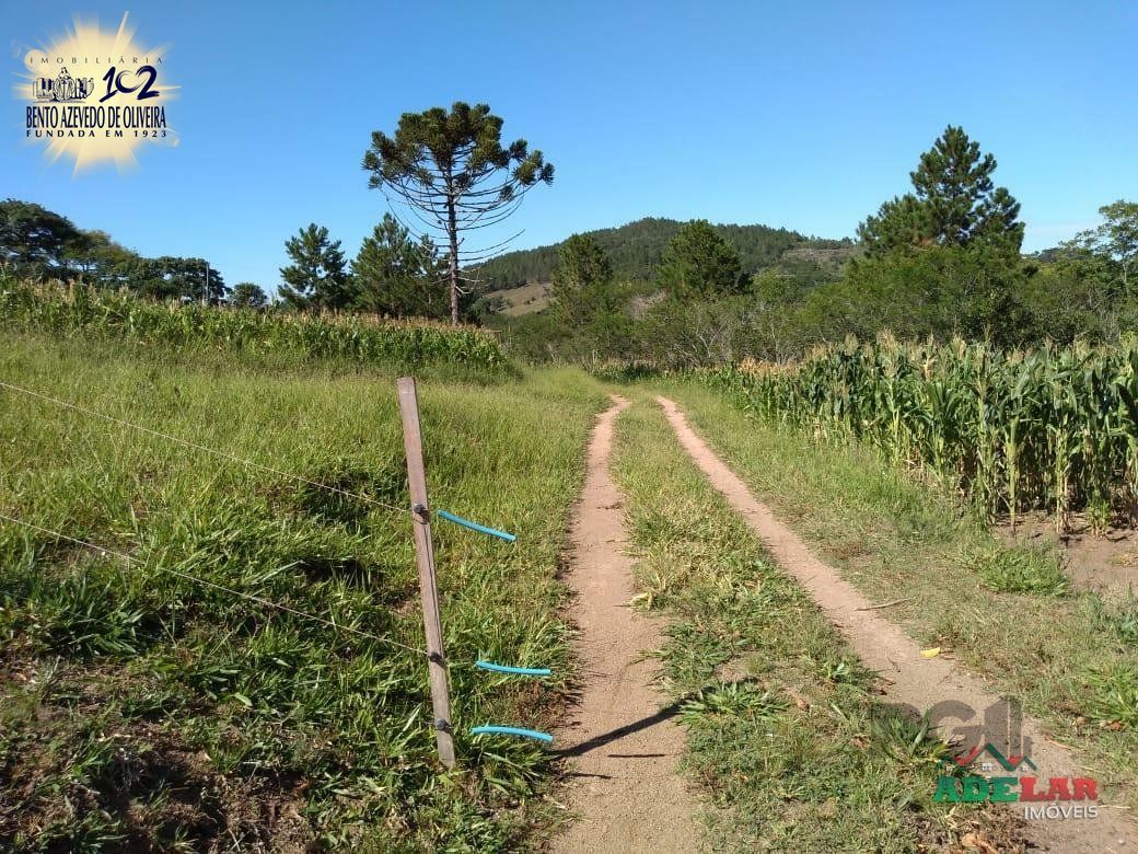 Sítio, 4 quartos, 8 hectares - Foto 19