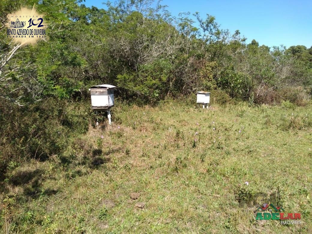 Sítio, 4 quartos, 8 hectares - Foto 22