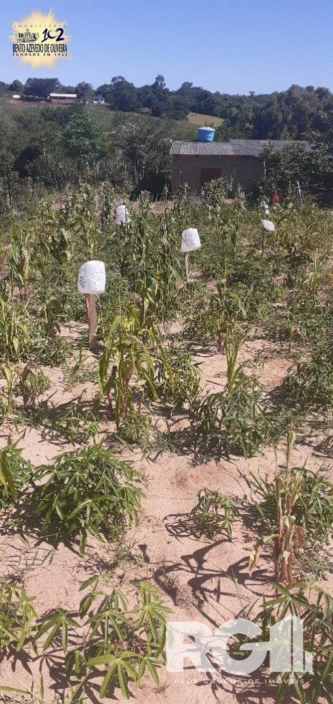 Chácara, 1 quarto, 8505 m² - Foto 7