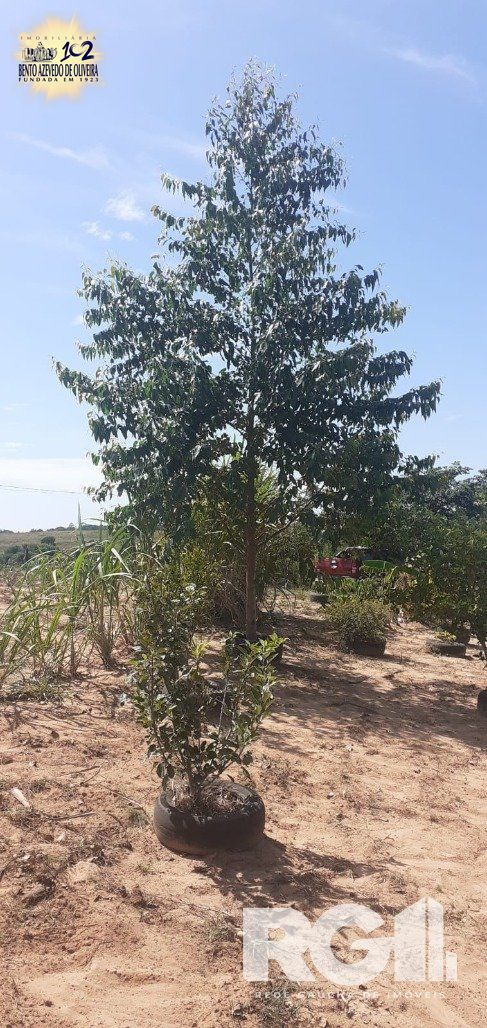 Chácara, 1 quarto, 8505 m² - Foto 24