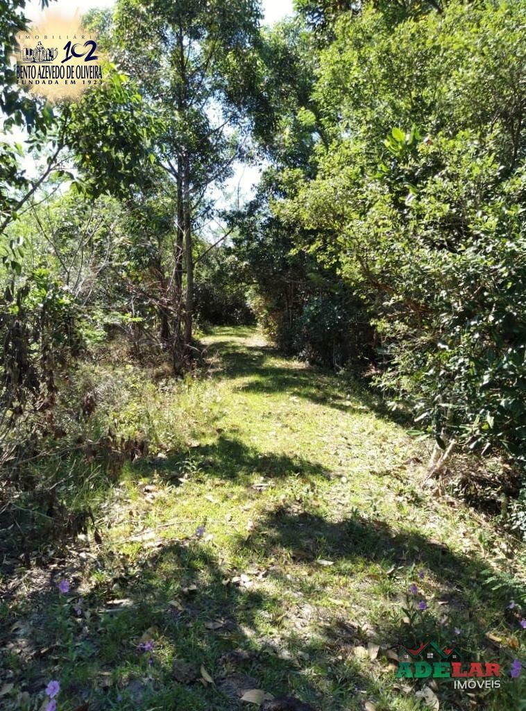 Sítio, 4 quartos, 8 hectares - Foto 41