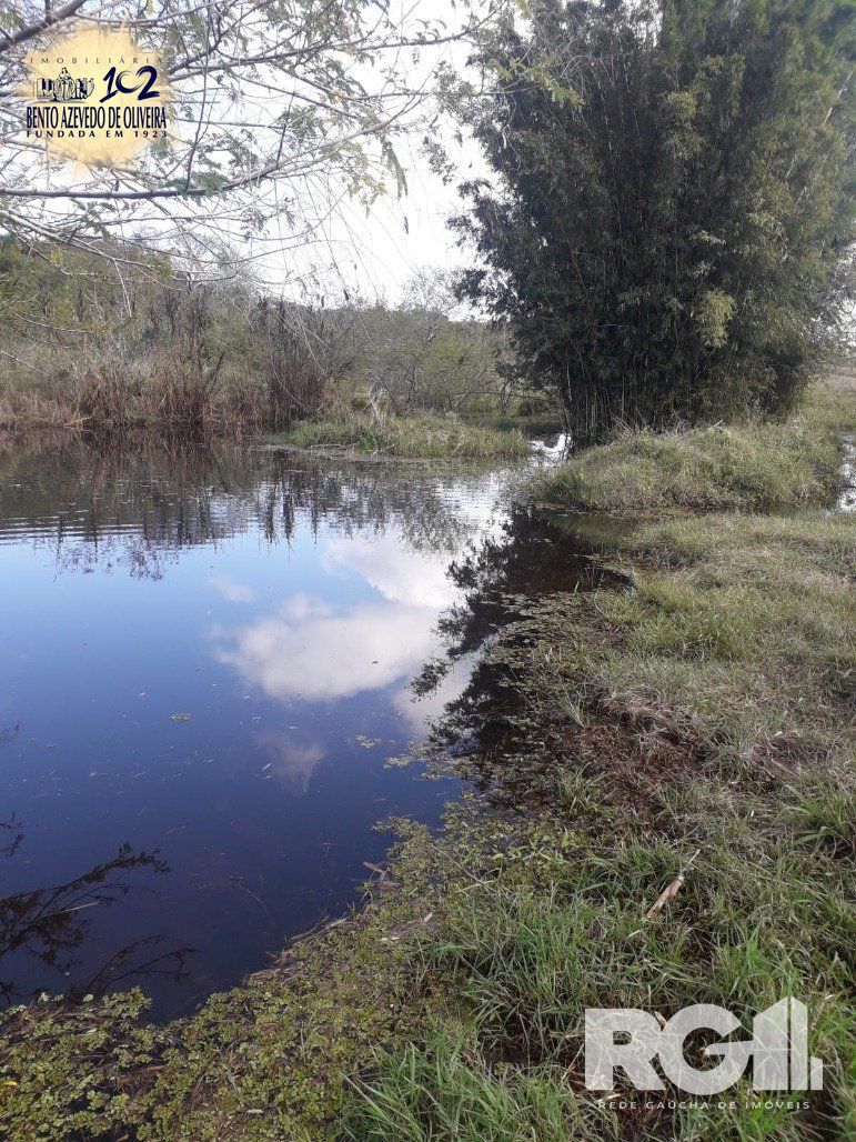 Chácara, 1 quarto, 8505 m² - Foto 3