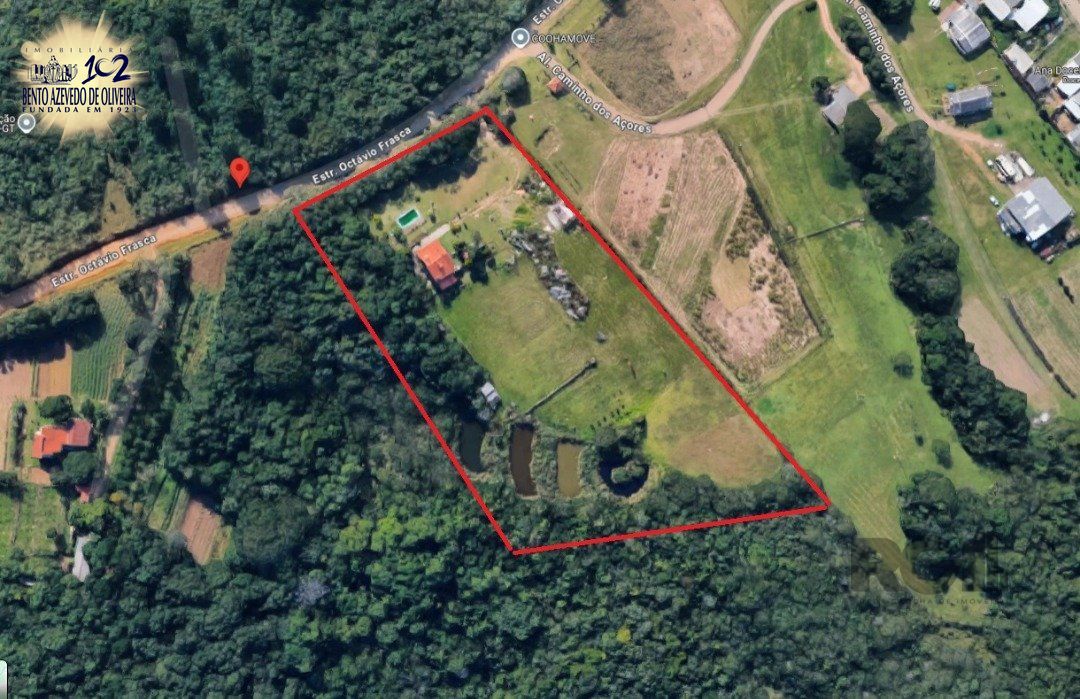 Terreno, 2 hectares - Foto 15