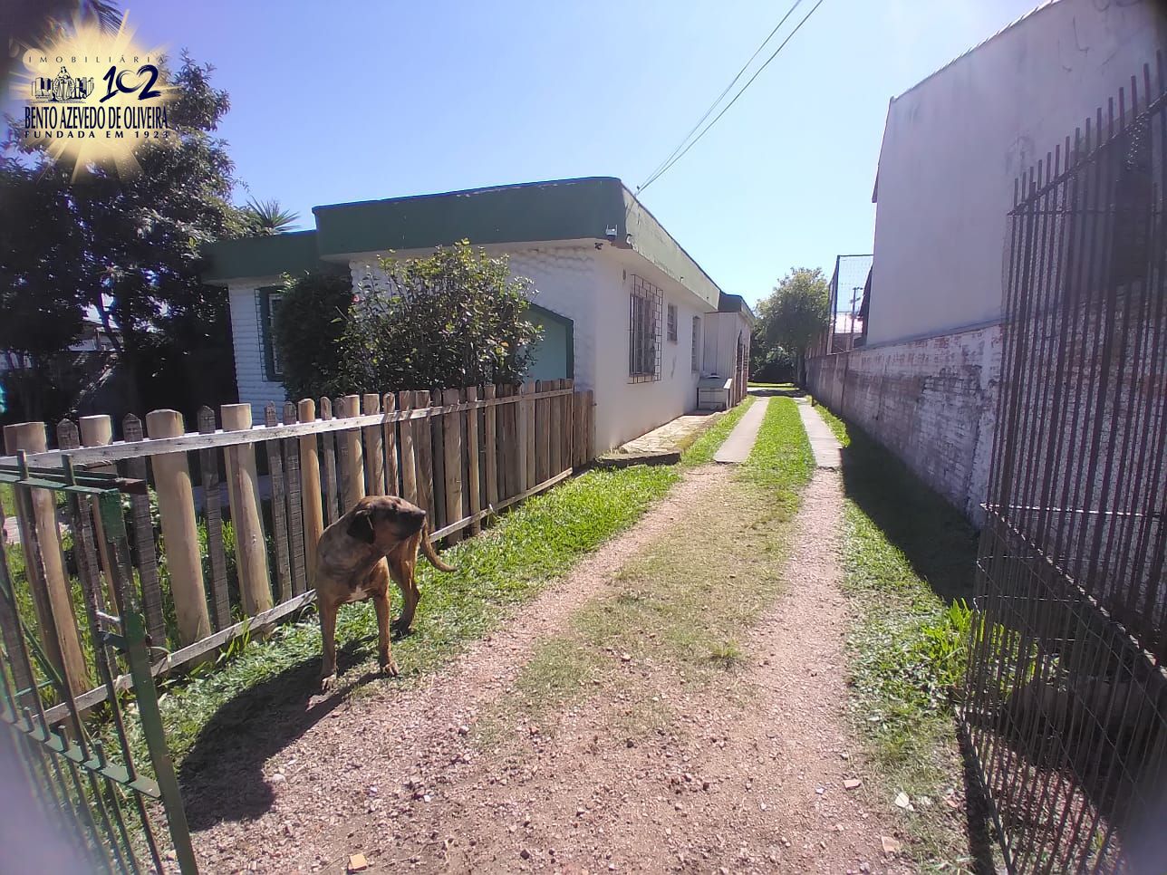 Casa, 3 quartos, 750 m² - Foto 6