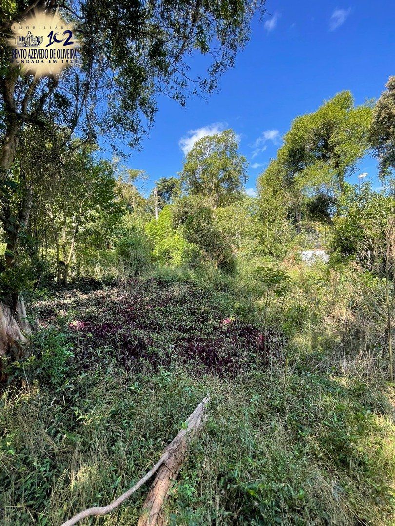 Terreno, 600 m² - Foto 8