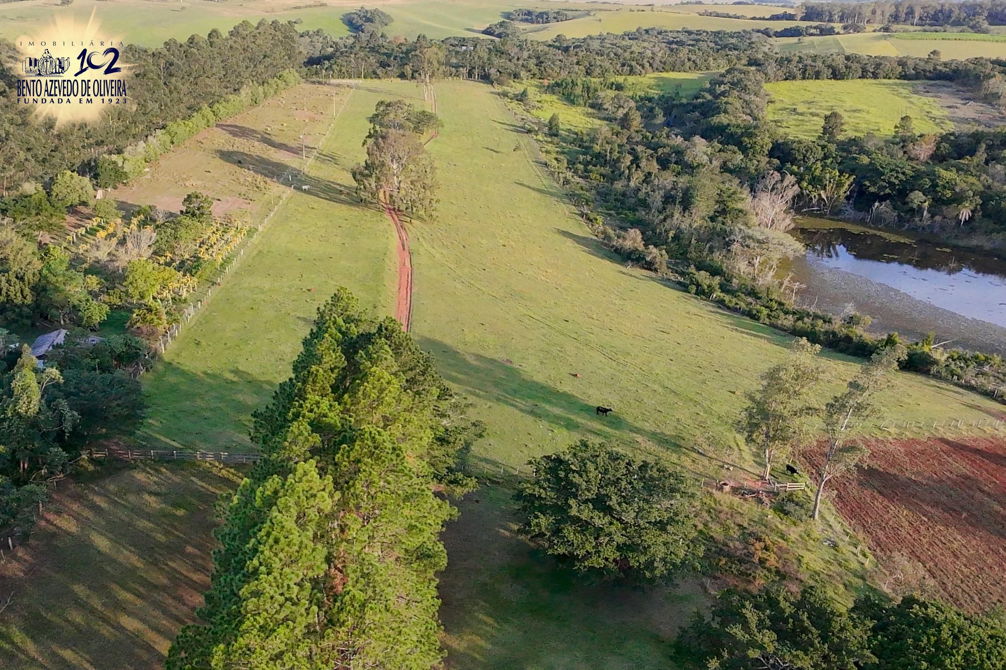 Sítio, 3 quartos, 8 hectares - Foto 62