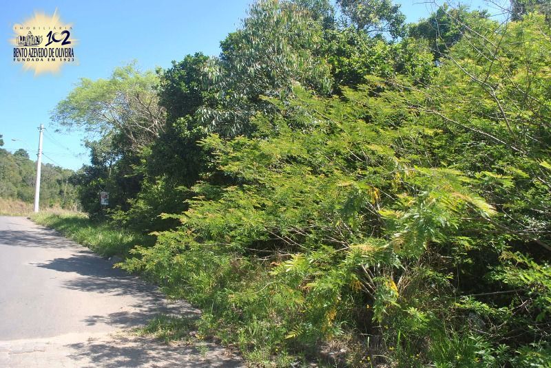 Terreno, 930 m² - Foto 8