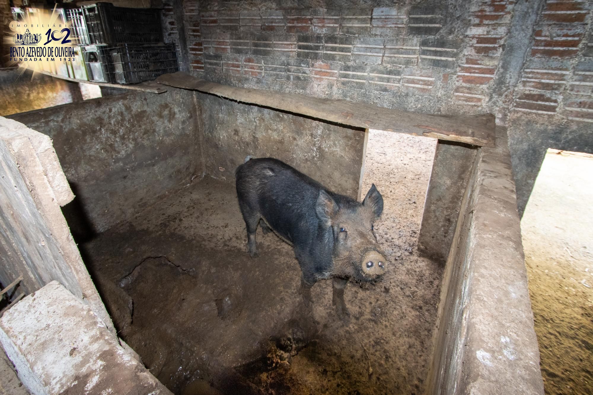 Sítio, 3 quartos, 8 hectares - Foto 57