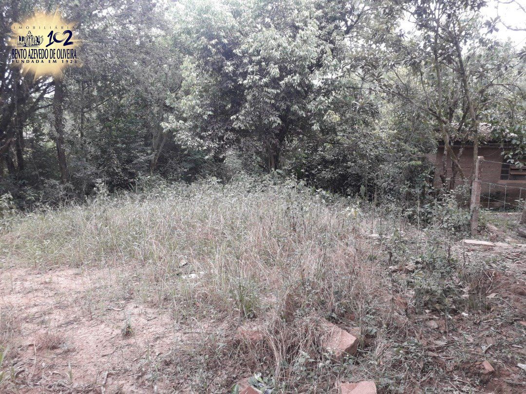 Terreno, 4431 m² - Foto 5