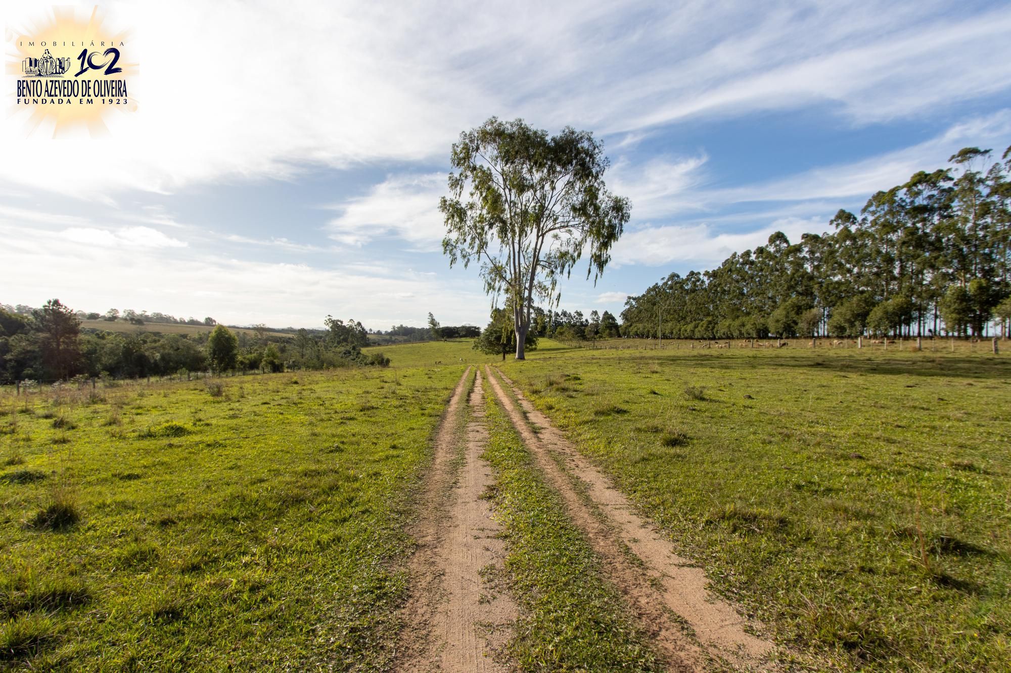 Sítio, 3 quartos, 8 hectares - Foto 3