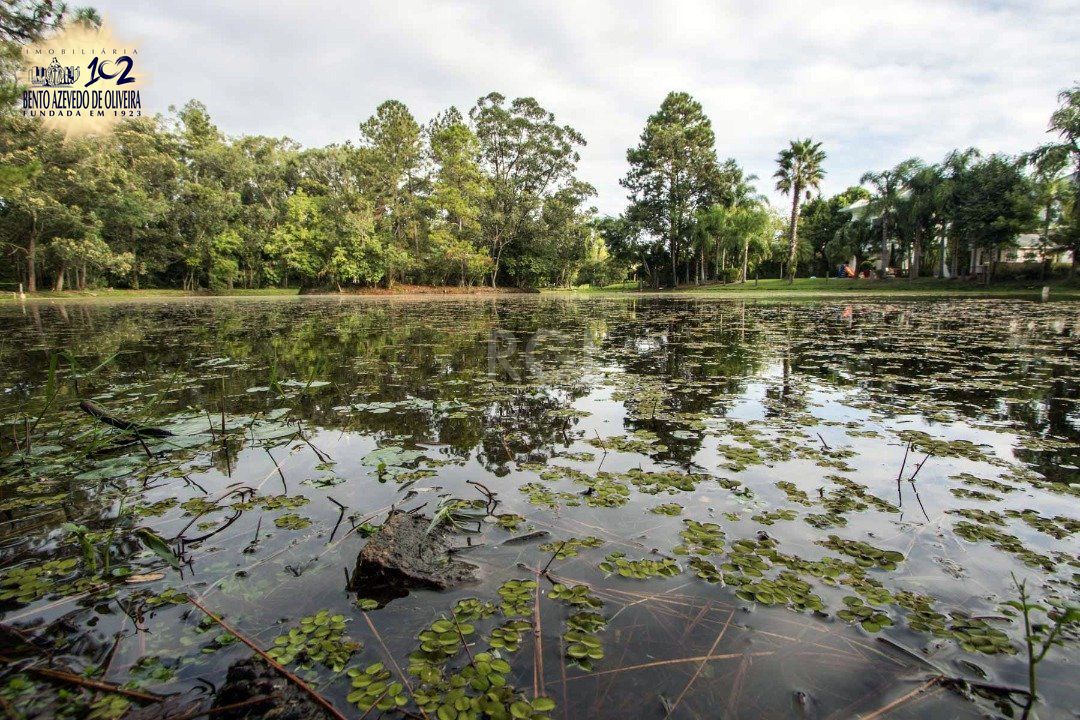 Terreno, 1000 m² - Foto 13