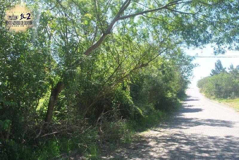 Terreno, 2611 m² - Foto 2