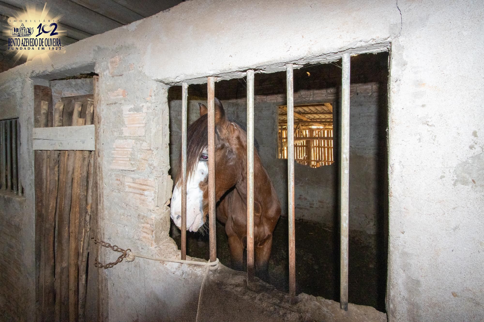 Sítio, 3 quartos, 8 hectares - Foto 55