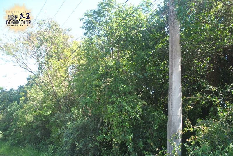 Terreno, 2611 m² - Foto 6