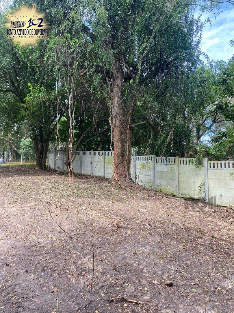 Terreno, 2490 m² - Foto 6