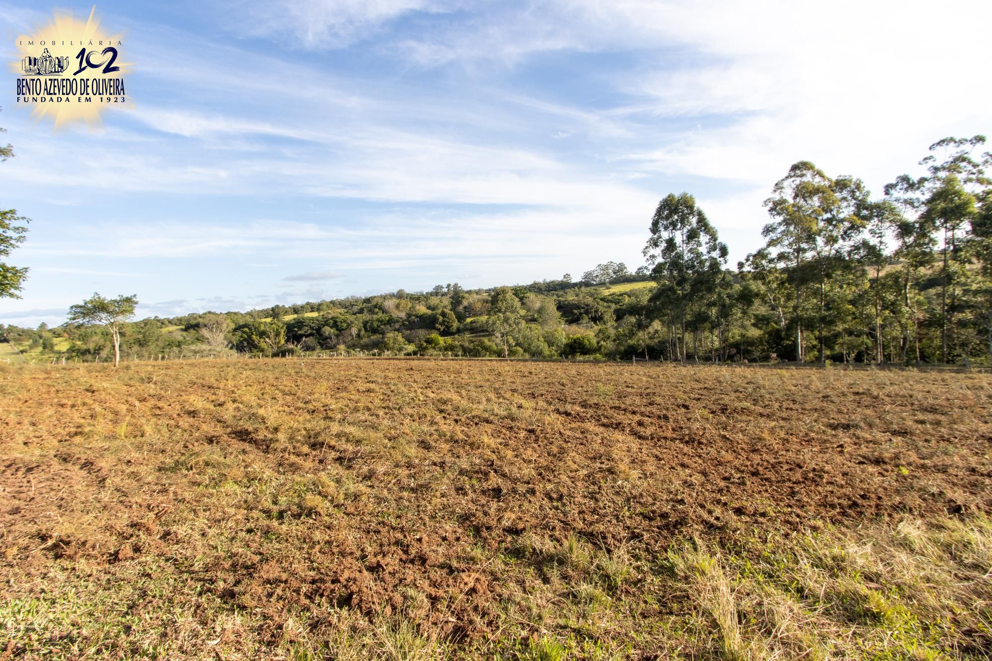 Sítio, 3 quartos, 8 hectares - Foto 68