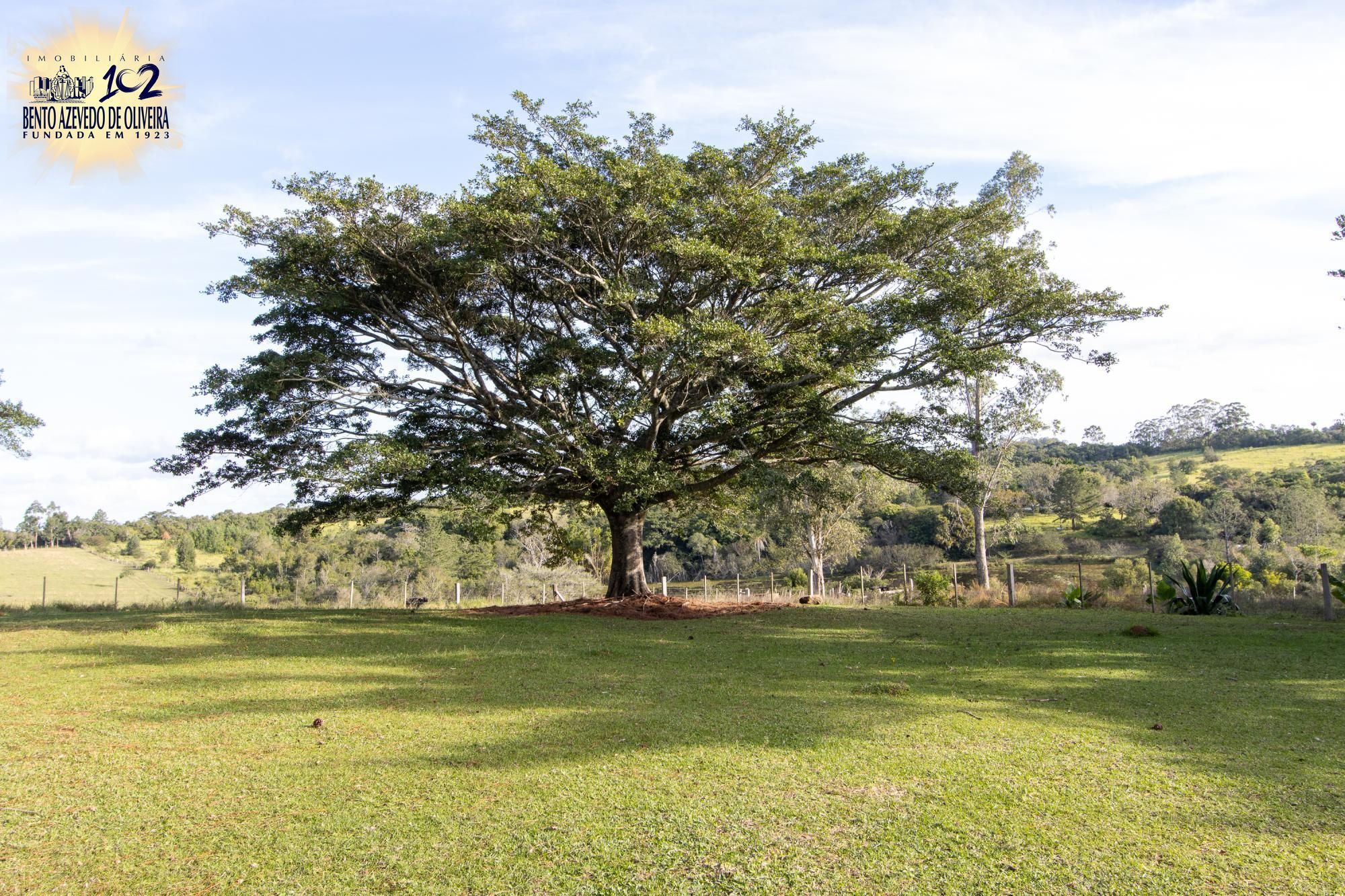 Sítio, 3 quartos, 8 hectares - Foto 63