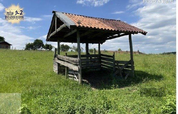 Terreno, 2 hectares - Foto 9