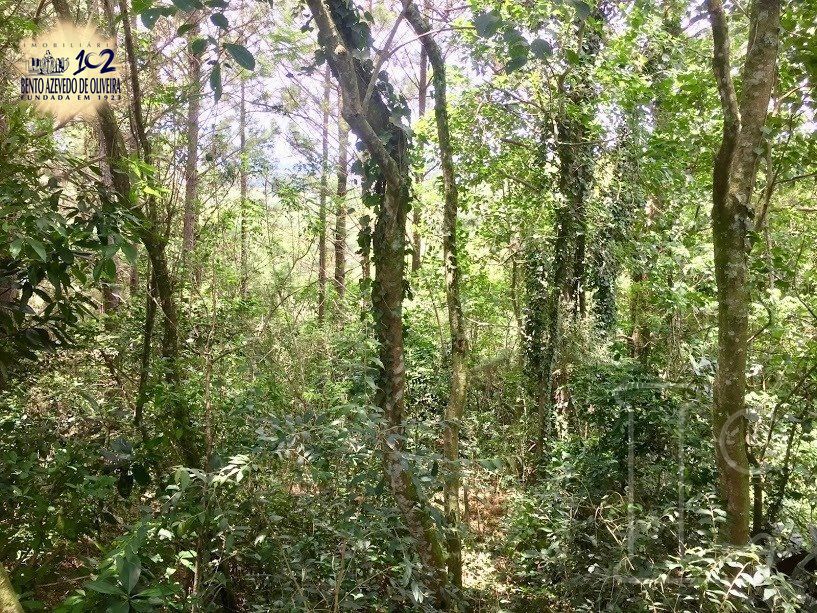 Casa, 3 quartos, 570 m² - Foto 85