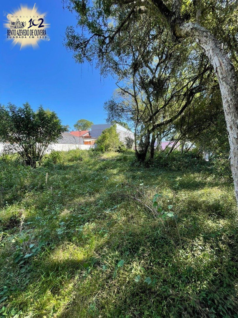 Terreno, 600 m² - Foto 7