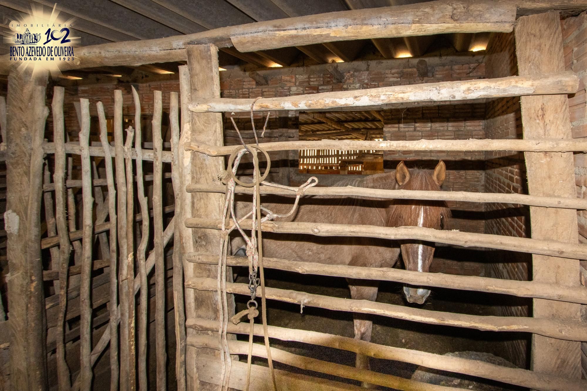 Sítio, 3 quartos, 8 hectares - Foto 54