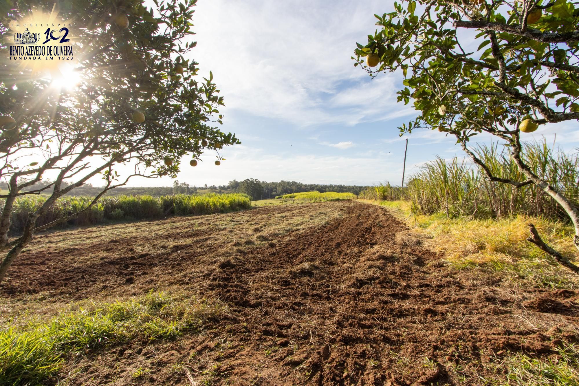 Sítio, 3 quartos, 8 hectares - Foto 50