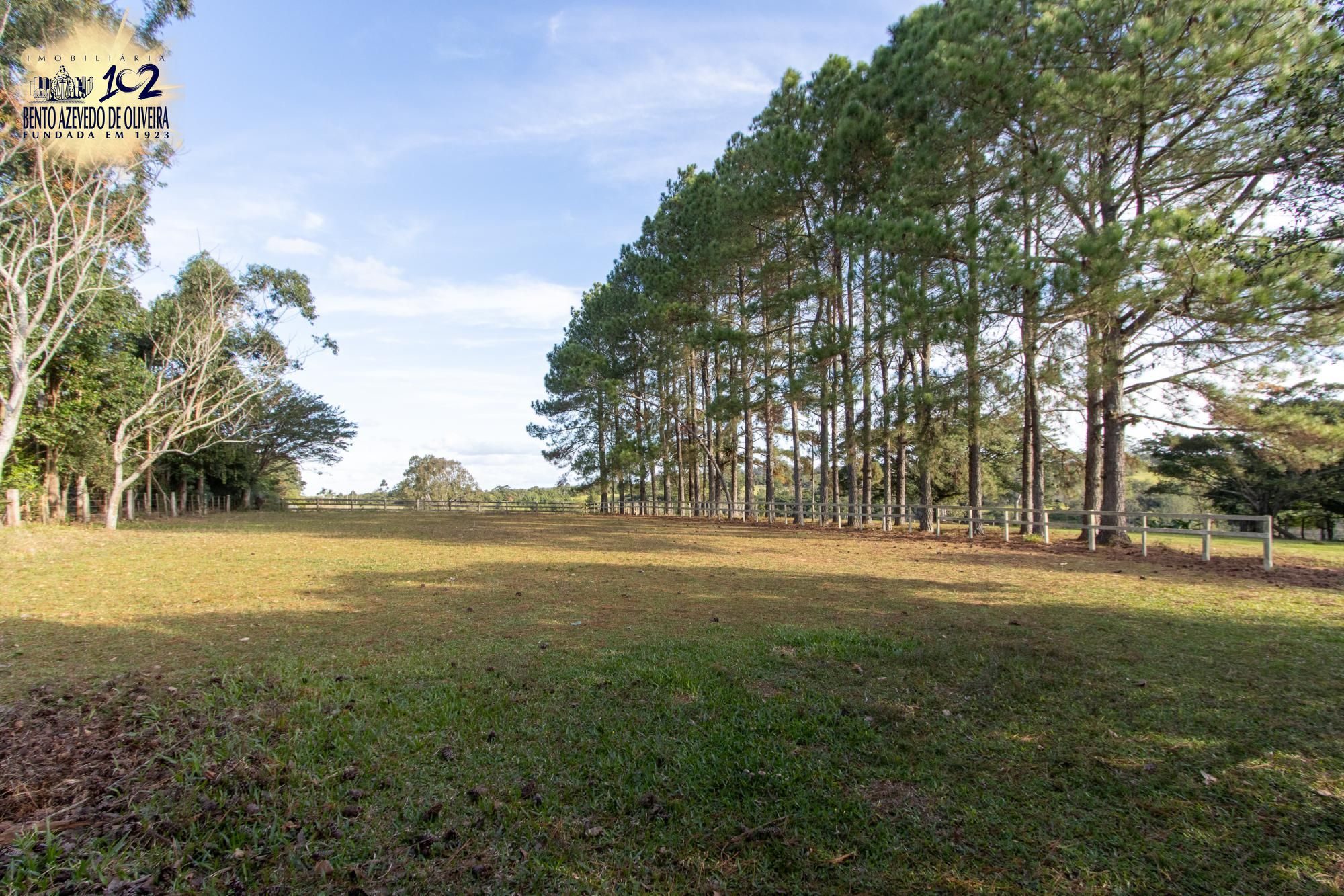 Sítio, 3 quartos, 8 hectares - Foto 66