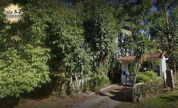 Chácara, 3 quartos, 6 hectares - Foto 2