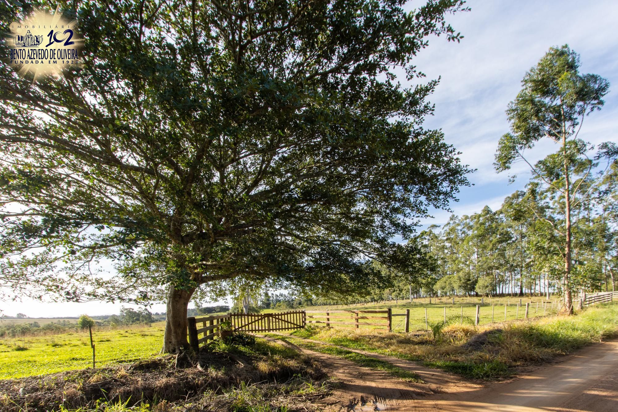 Sítio, 3 quartos, 8 hectares - Foto 2